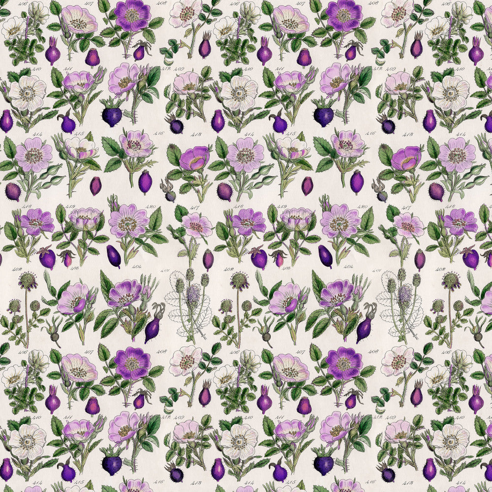 Tim Holtz Fabric By The Yard Purple Botanical pwth306 Eclectic Elements Palette