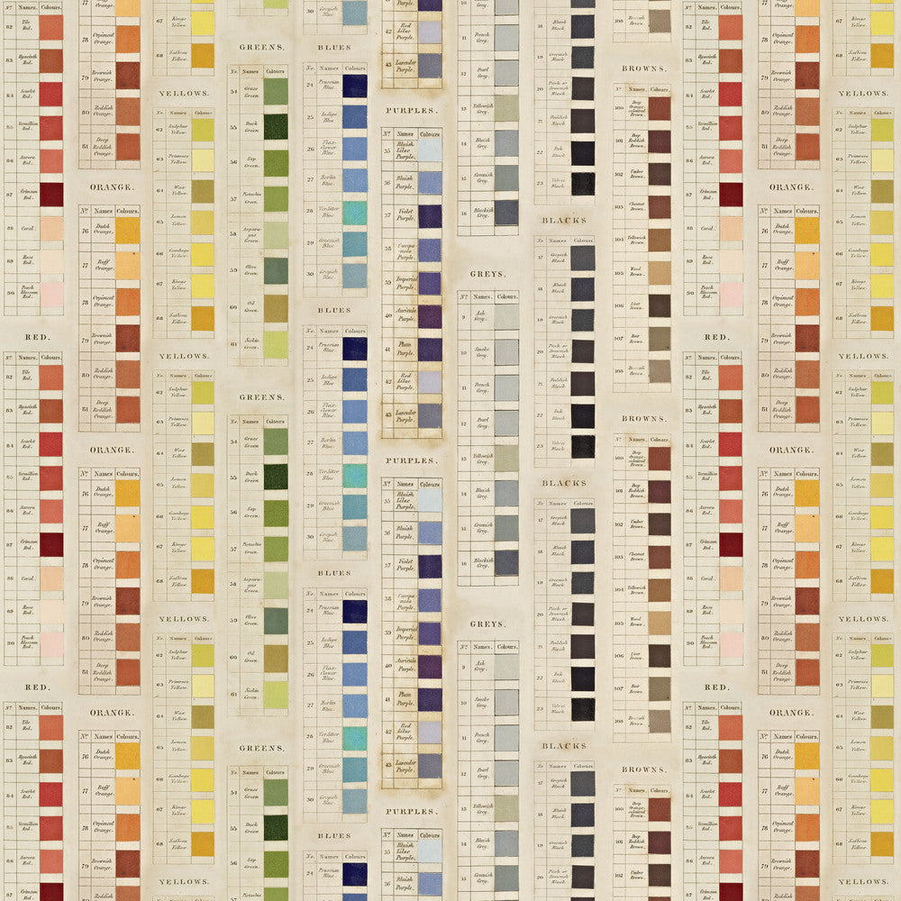 Tim Holtz Fabric By The Yard Multi Palettes pwth328 Eclectic Elements Palette