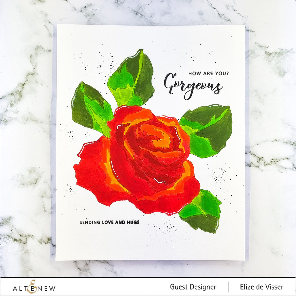 Altenew Paint-by-Number Classical Roses 8 x 10 Inch Coloring Book ALT7532 Love and Hugs