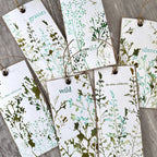 PaperArtsy Alison Bomber Meadow Grass Edition Cling Stamps ab058 grass leaves stems wild the silent wilderness tags
