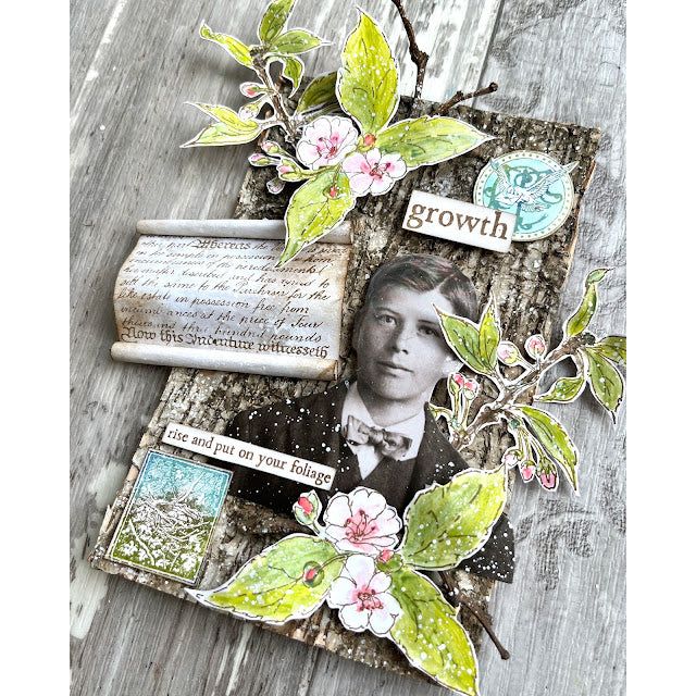 Paper Artsy Alison Bomber Blossom Cling Stamps eab46 growth foliage