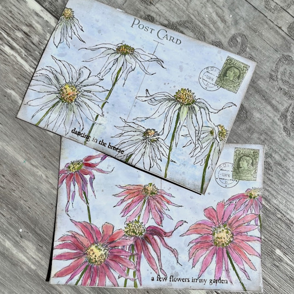 Paper Artsy Alison Bomber Coneflowers Edition Cling Stamps eab49 post card