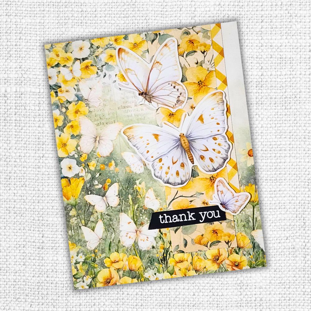 Paper Rose Bees and Butterflies 12x12 Paper 33537 thank you