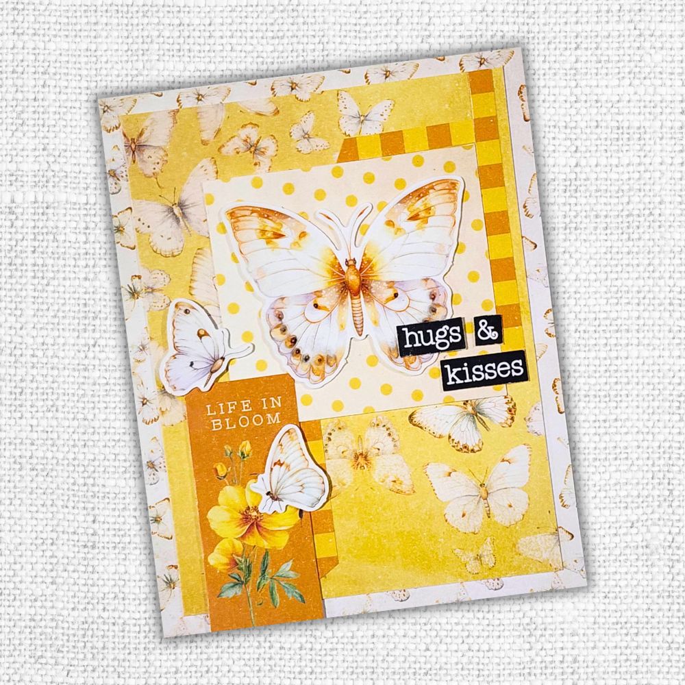 Paper Rose Bees and Butterflies Basics 12x12 Paper 33561 butterfly
