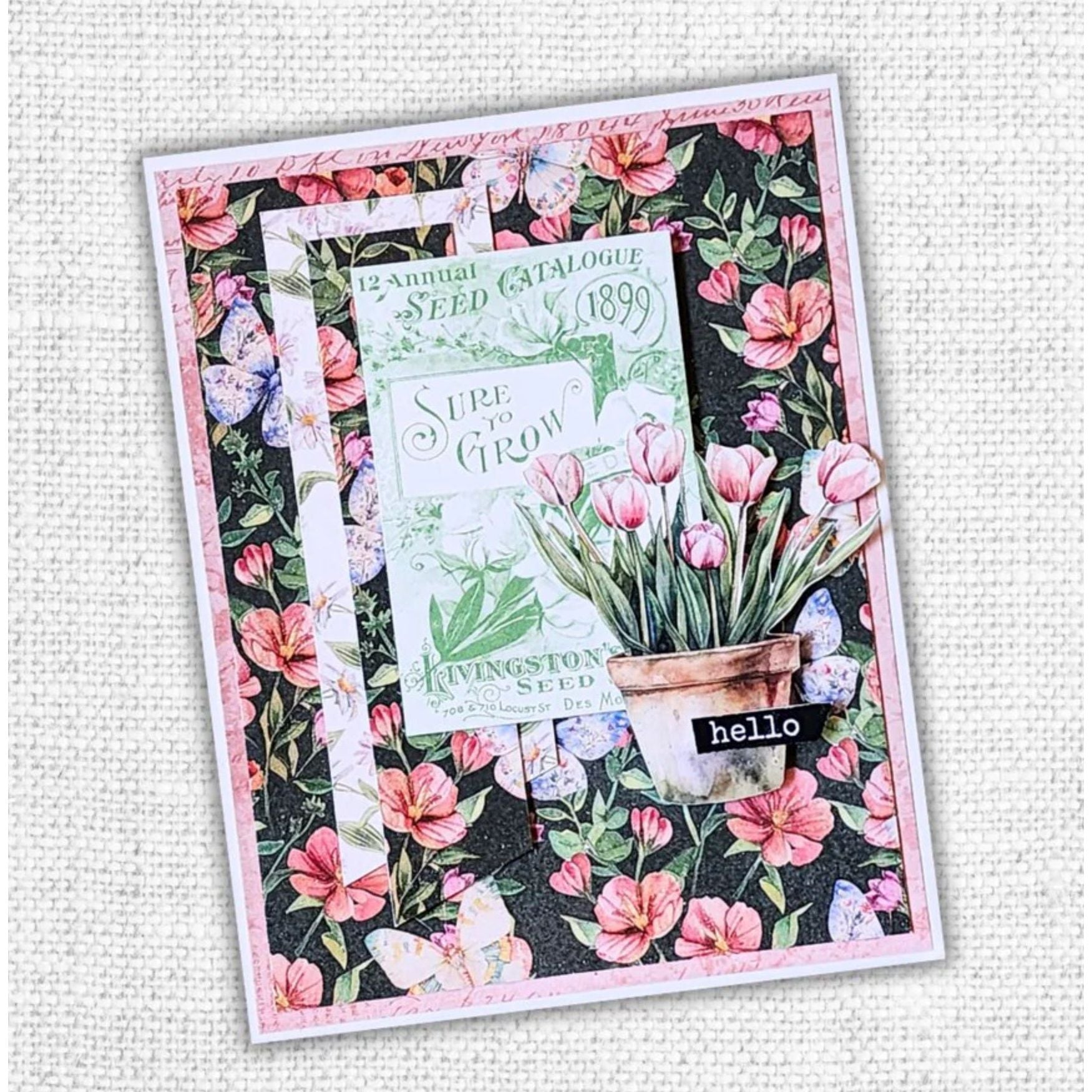 Paper Rose Flower Shoppe Embossed Die Cuts 33138 hello