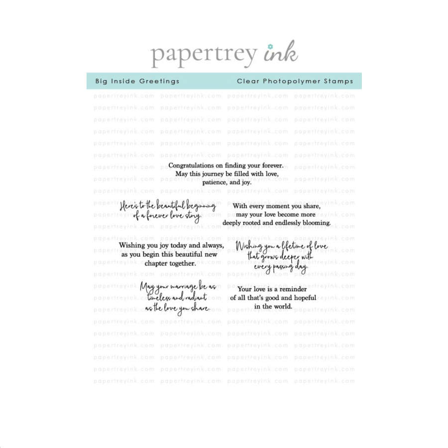 Papertrey Ink Big Inside Greetings Clear Stamps 1684