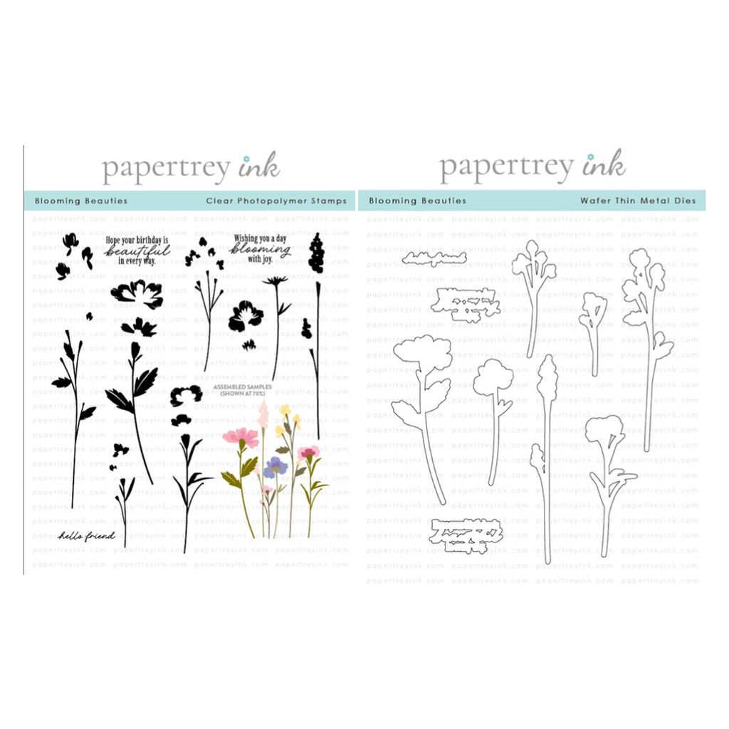 Papertrey Ink Blooming Beauties Clear Stamp and Die Set