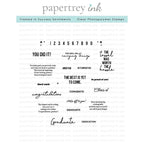 Papertrey Ink Framed in Success Sentiments Clear Stamps 1635