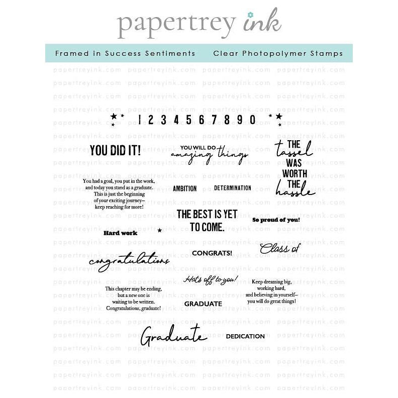 Papertrey Ink Framed in Success Sentiments Clear Stamps 1635