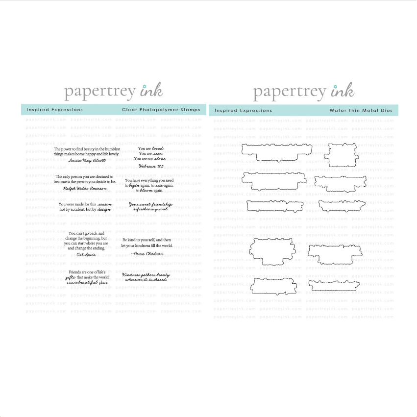 Papertrey Ink Inspired Expressions Clear Stamp and Die Set