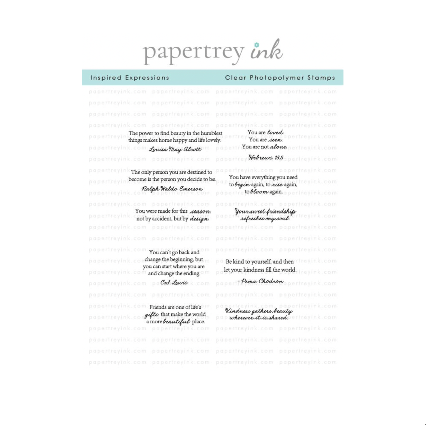 Papertrey Ink Inspired Expressions Clear Stamp and Die Set product image 1