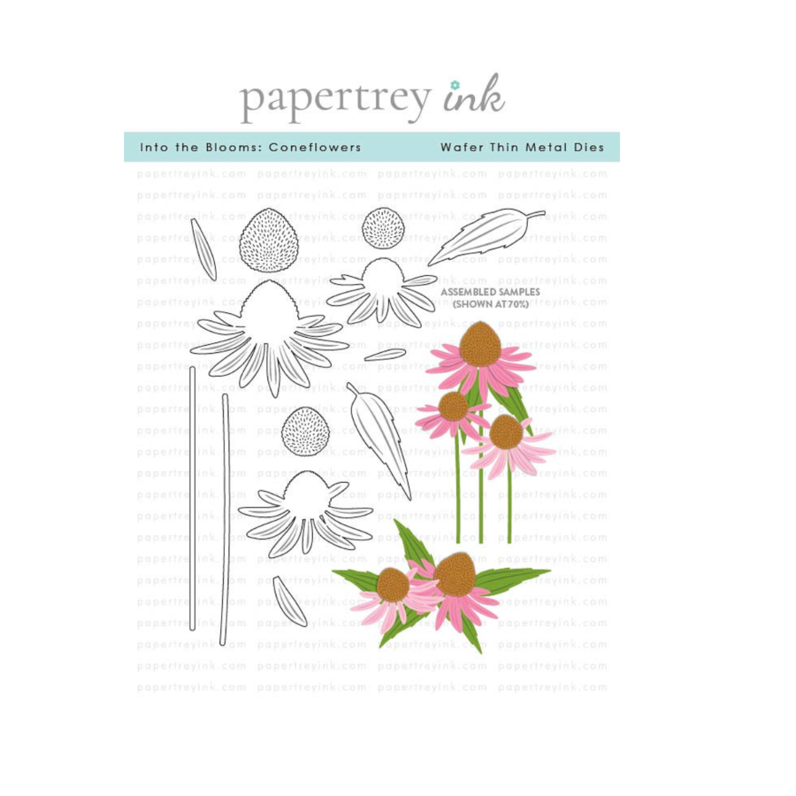Papertrey Ink Into the Blooms Coneflowers Dies pti-0967