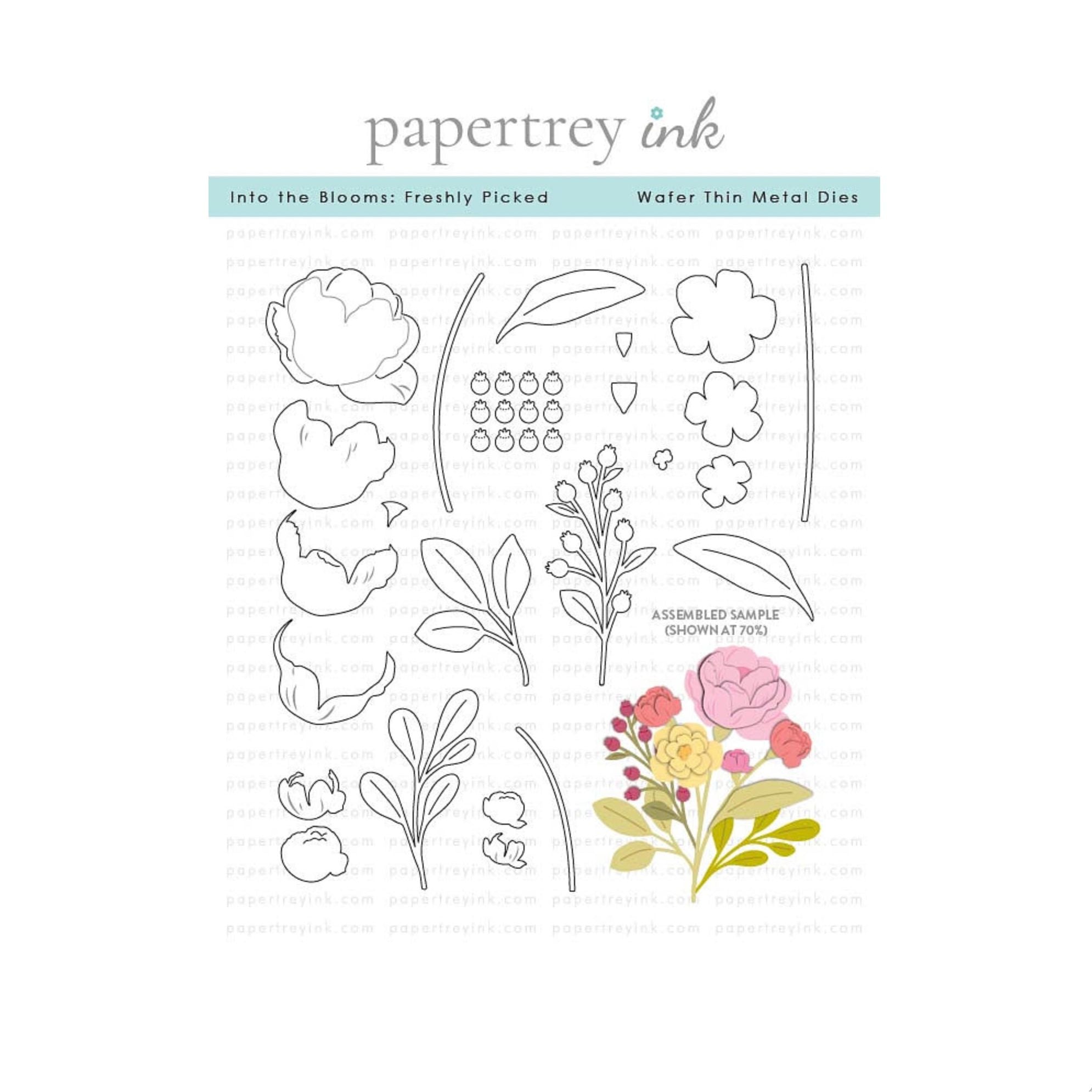 Papertrey Ink Into the Blooms Freshly Picked Dies pti-1128