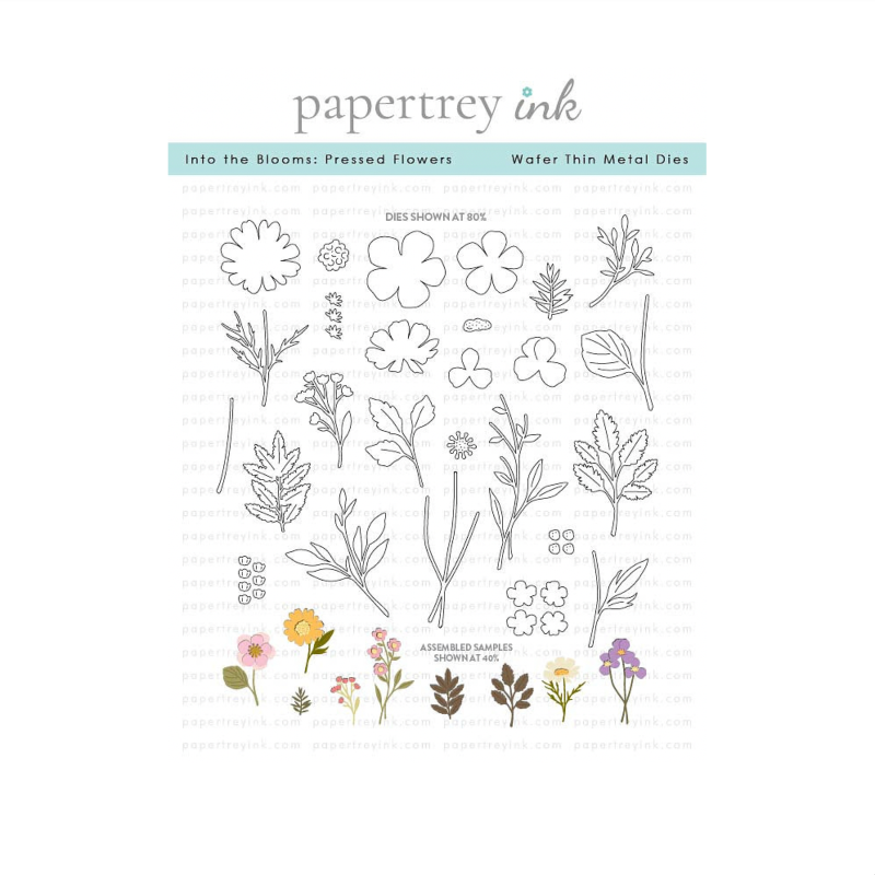Papertrey Ink Into the Blooms Pressed Flowers Dies pti-1090