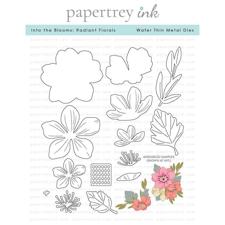 Papertrey Ink Into the Blooms Radiant Florals Dies pti-0921
