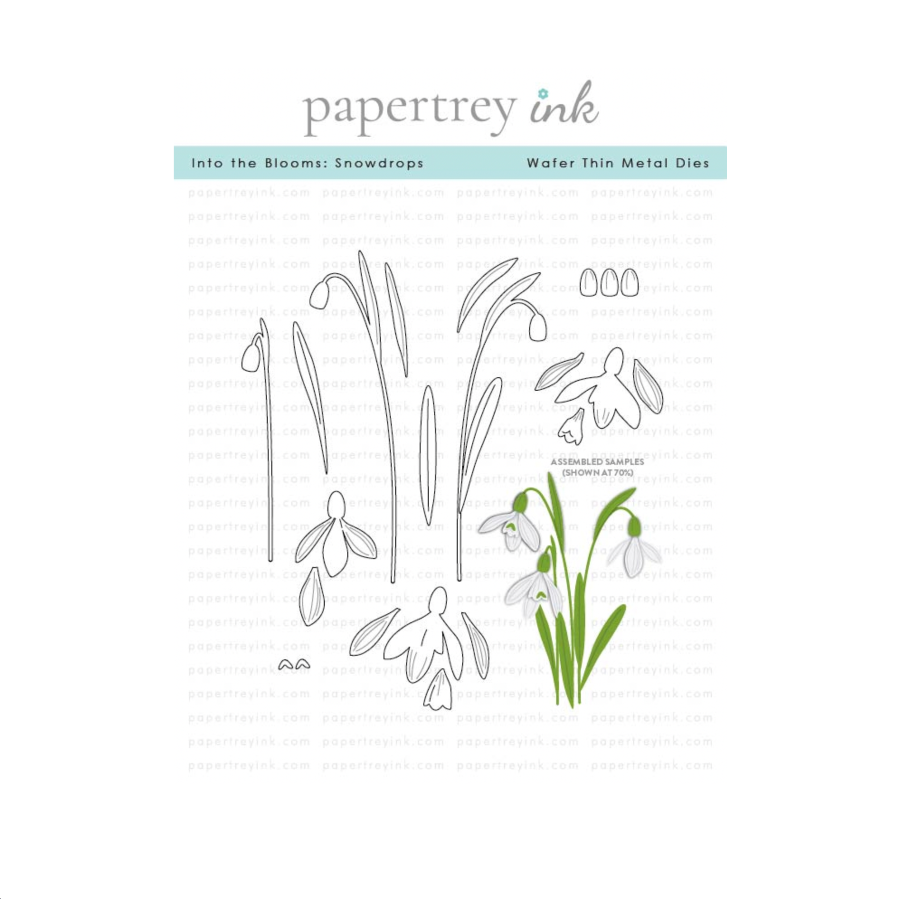 Papertrey Ink Into the Blooms Snowdrops Dies pti-1012