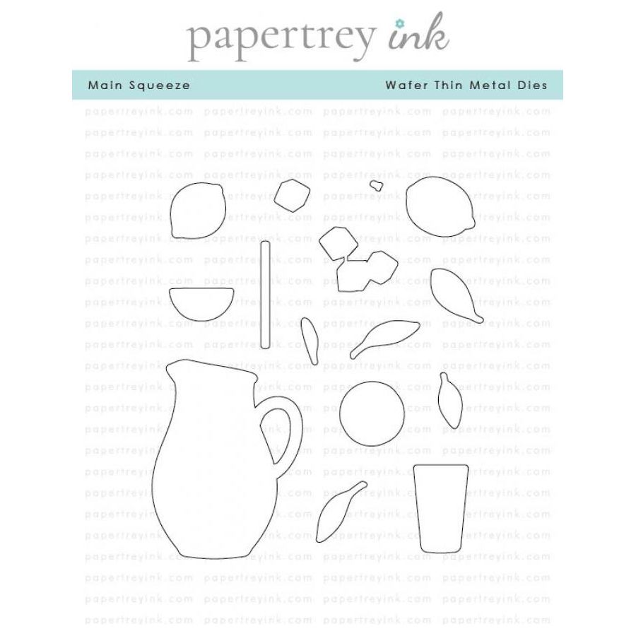 Papertrey Ink Main Squeeze Clear Stamp and Die Set product image 2