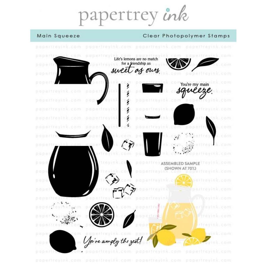 Papertrey Ink Main Squeeze Clear Stamps 1638