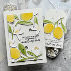 Papertrey Ink Main Squeeze Dies pti-0936 white flowers