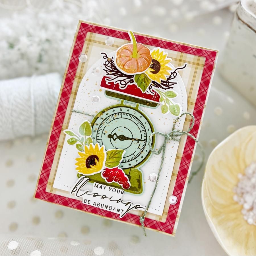Papertrey Ink Measured in Abundance Clear Stamp and Die Set red plaid