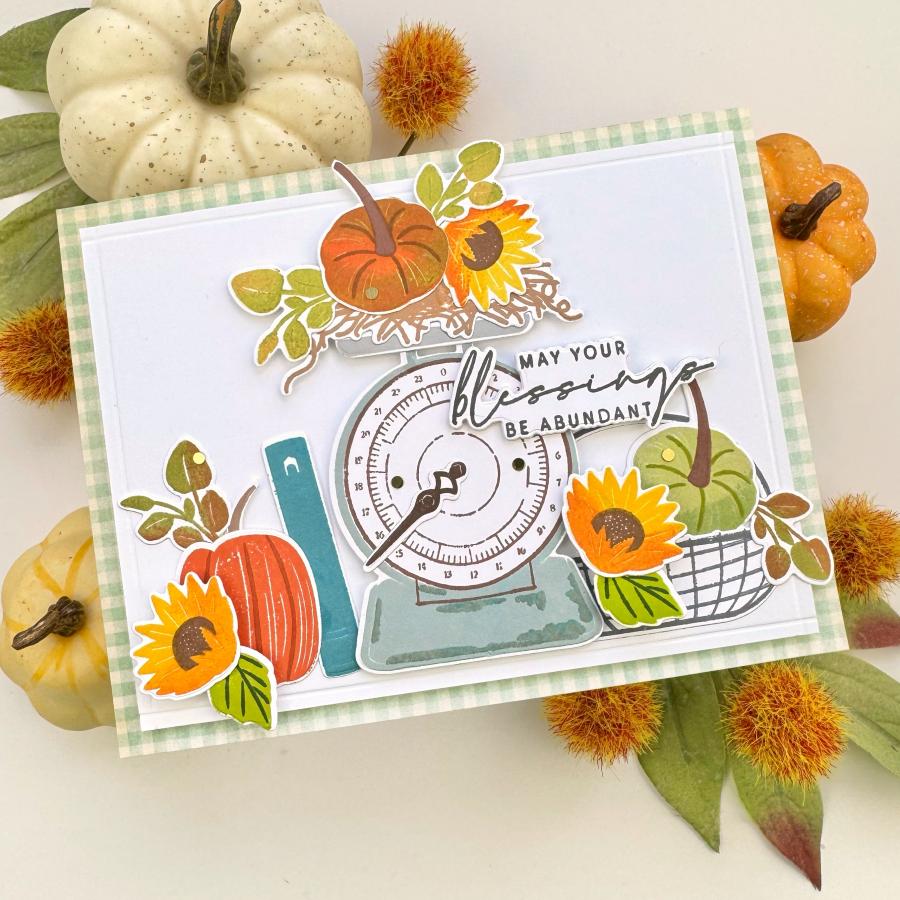 Papertrey Ink Measured in Abundance Clear Stamps 1596 weigh in
