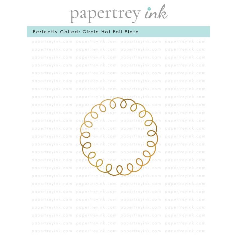 Papertrey Ink Perfectly Coiled Circle Hot Foil Plate ptif-0033