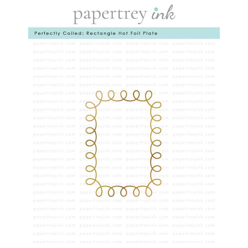 Papertrey Ink Perfectly Coiled Rectangle Hot Foil Plate ptif-0034