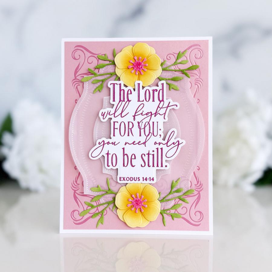 Papertrey Ink Reflections Exodus 14 Clear Stamp 1701 pink background