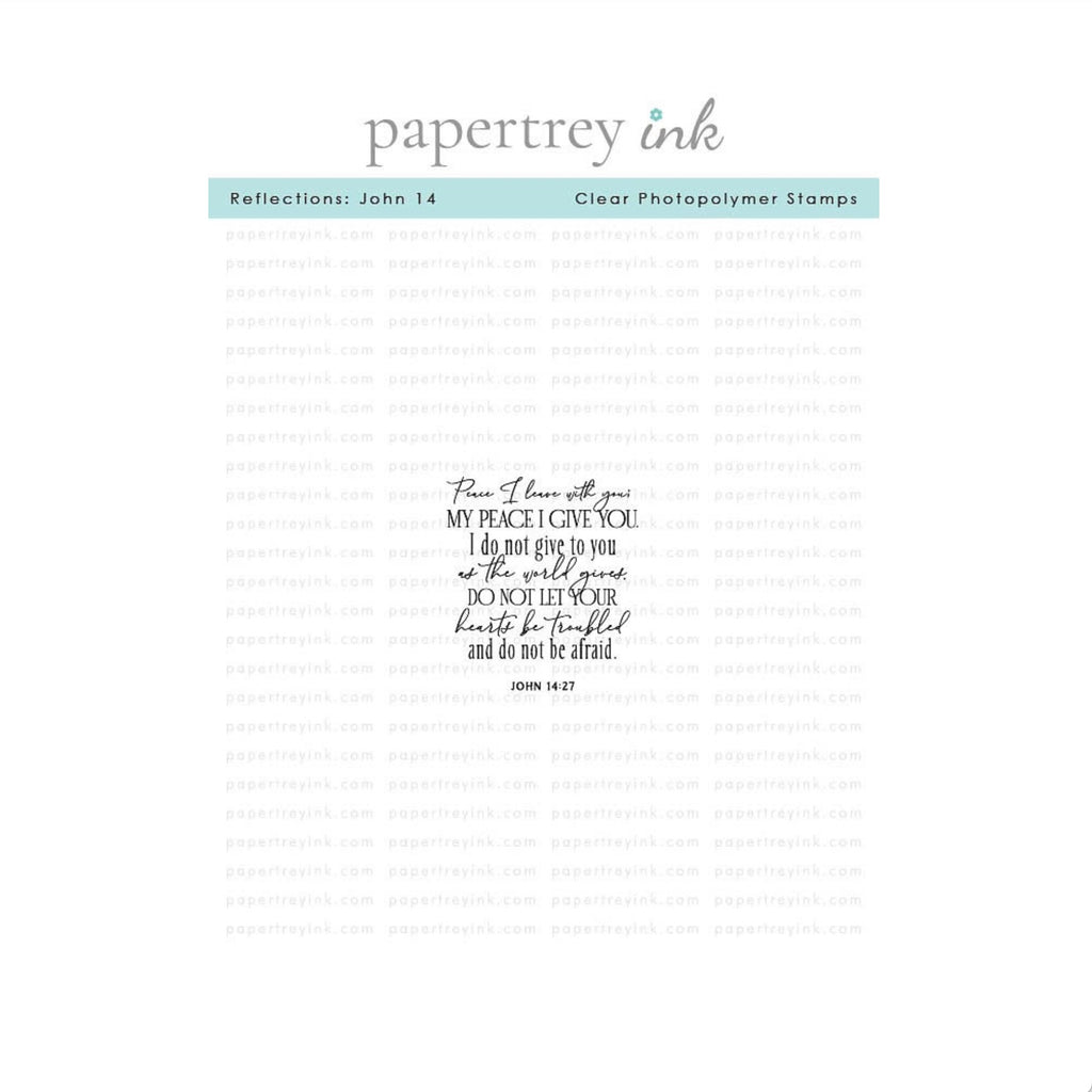Papertrey Ink Reflections John 1:4 Clear Stamp and Die Set product image 1