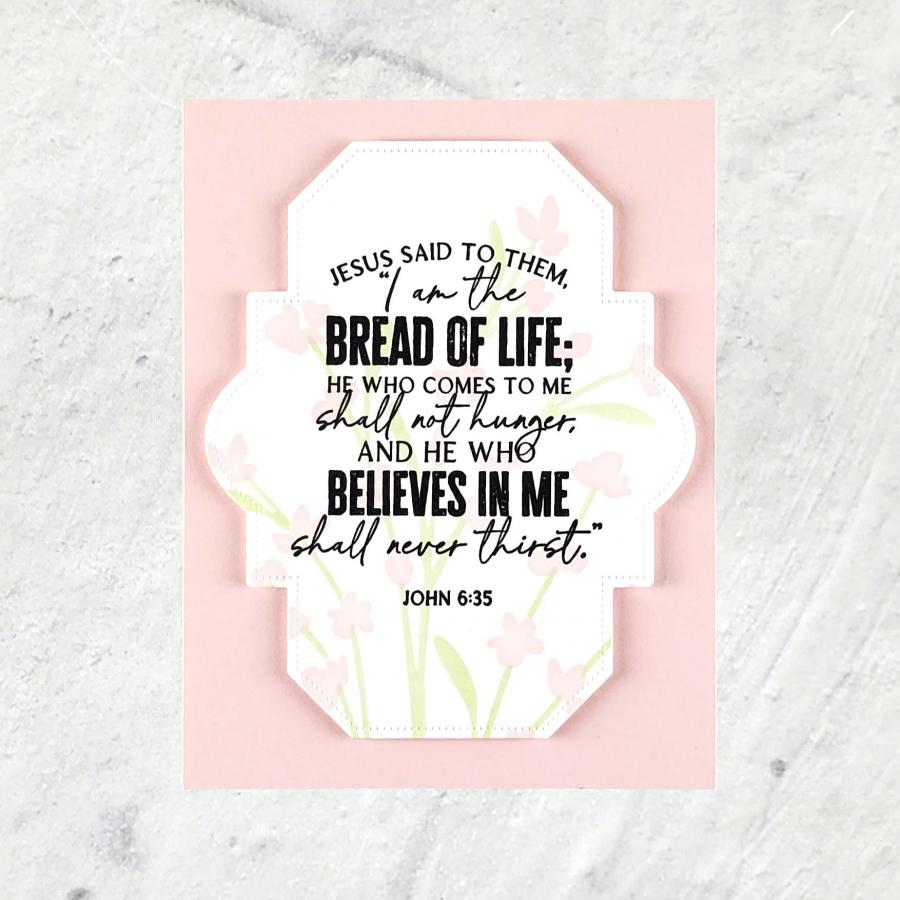 Papertrey Ink Reflections John 6 Clear Stamp 1663 pink