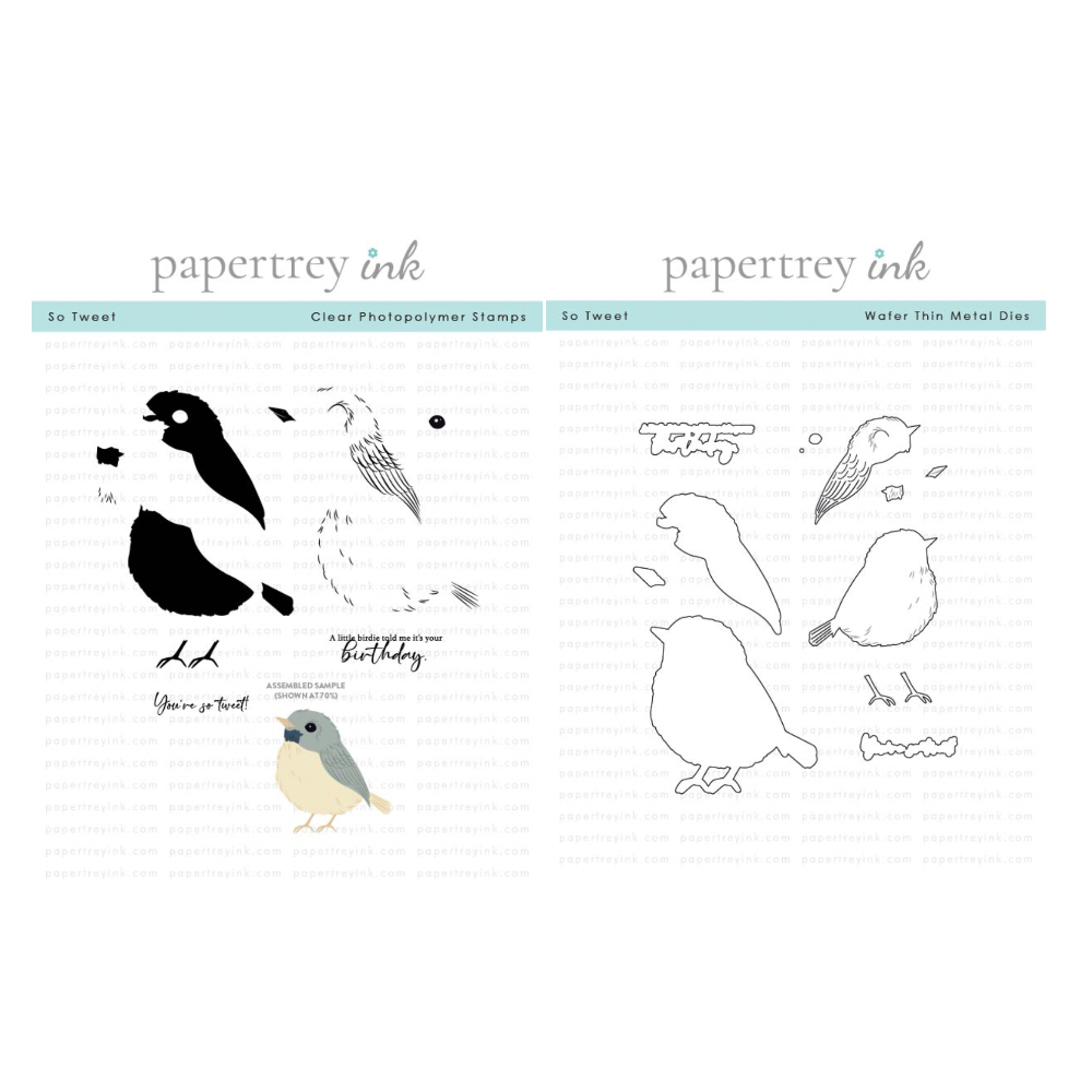 Papertrey Ink So Tweet Clear Stamp and Die Set