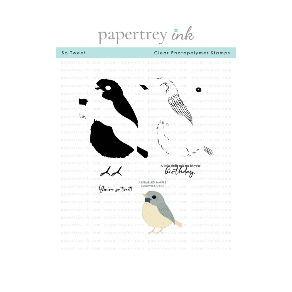 Papertrey Ink So Tweet Clear Stamp and Die Set image 1