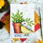 Papertrey Ink So Tweet Clear Stamps 1658 birthday