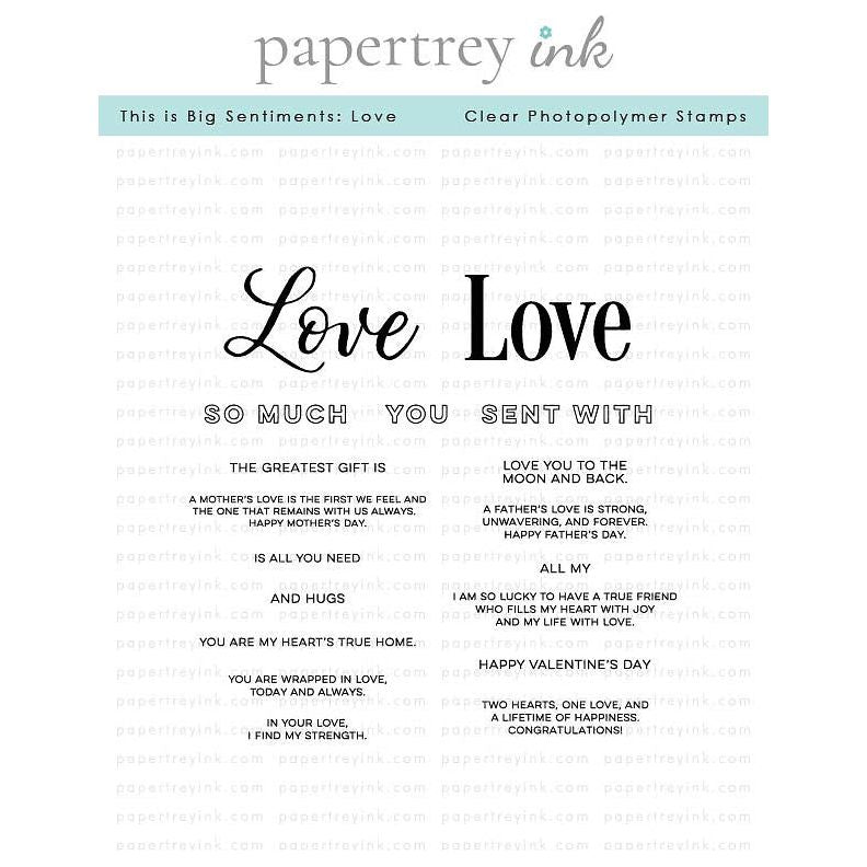 Papertrey Ink This Is Big Sentiments Love Clear Stamp and Die Set product image 1