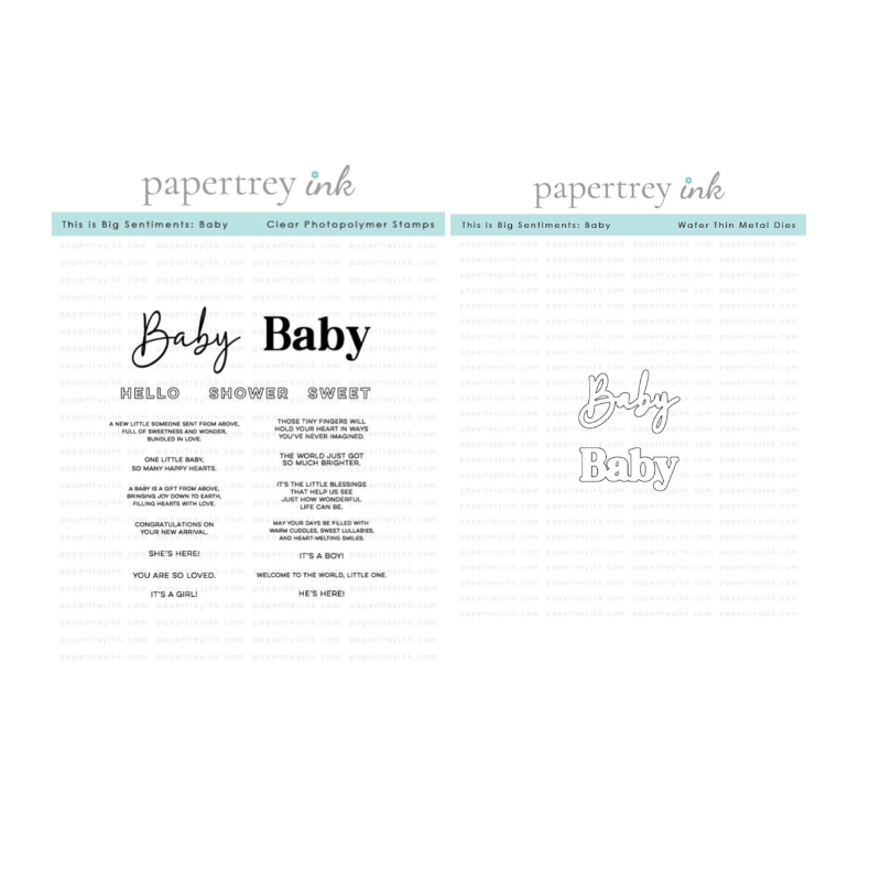 Papertrey Ink This is Big Sentiments Baby Clear Stamp and Die Set