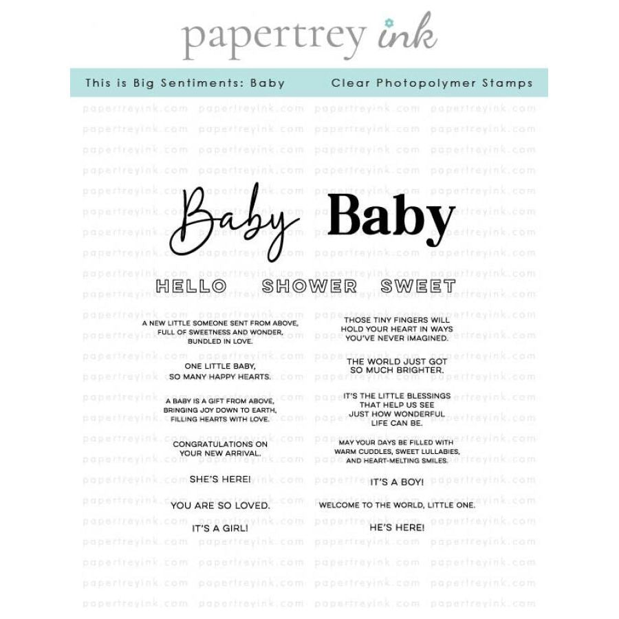 Papertrey Ink This is Big Sentiments Baby Clear Stamp and Die Set product image 1
