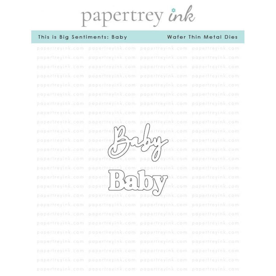 Papertrey Ink This is Big Sentiments Baby Clear Stamp and Die Set product image 2