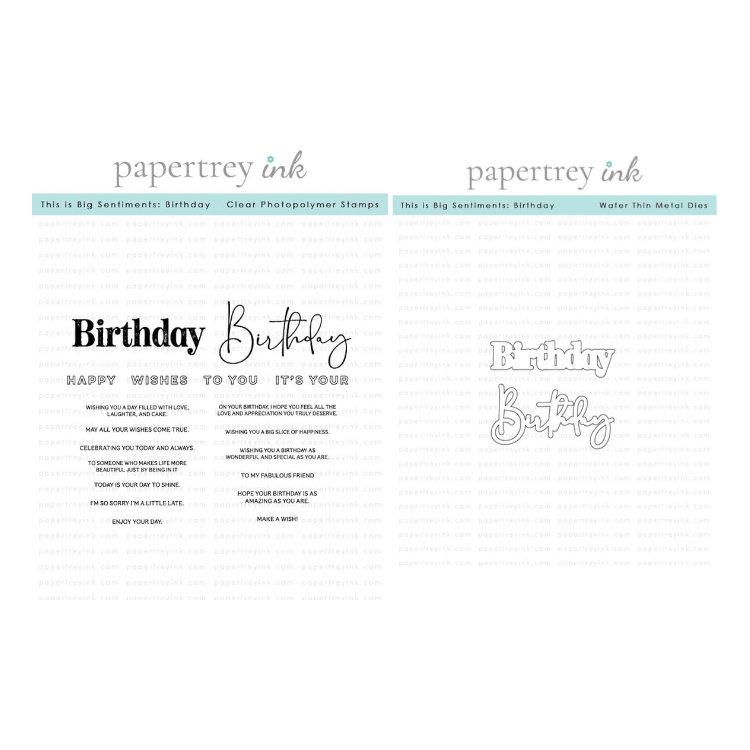 Papertrey Ink This is Big Sentiments Birthday Clear Stamp and Die Set
