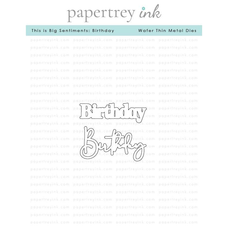 Papertrey Ink This is Big Sentiments Birthday Dies pti-0903