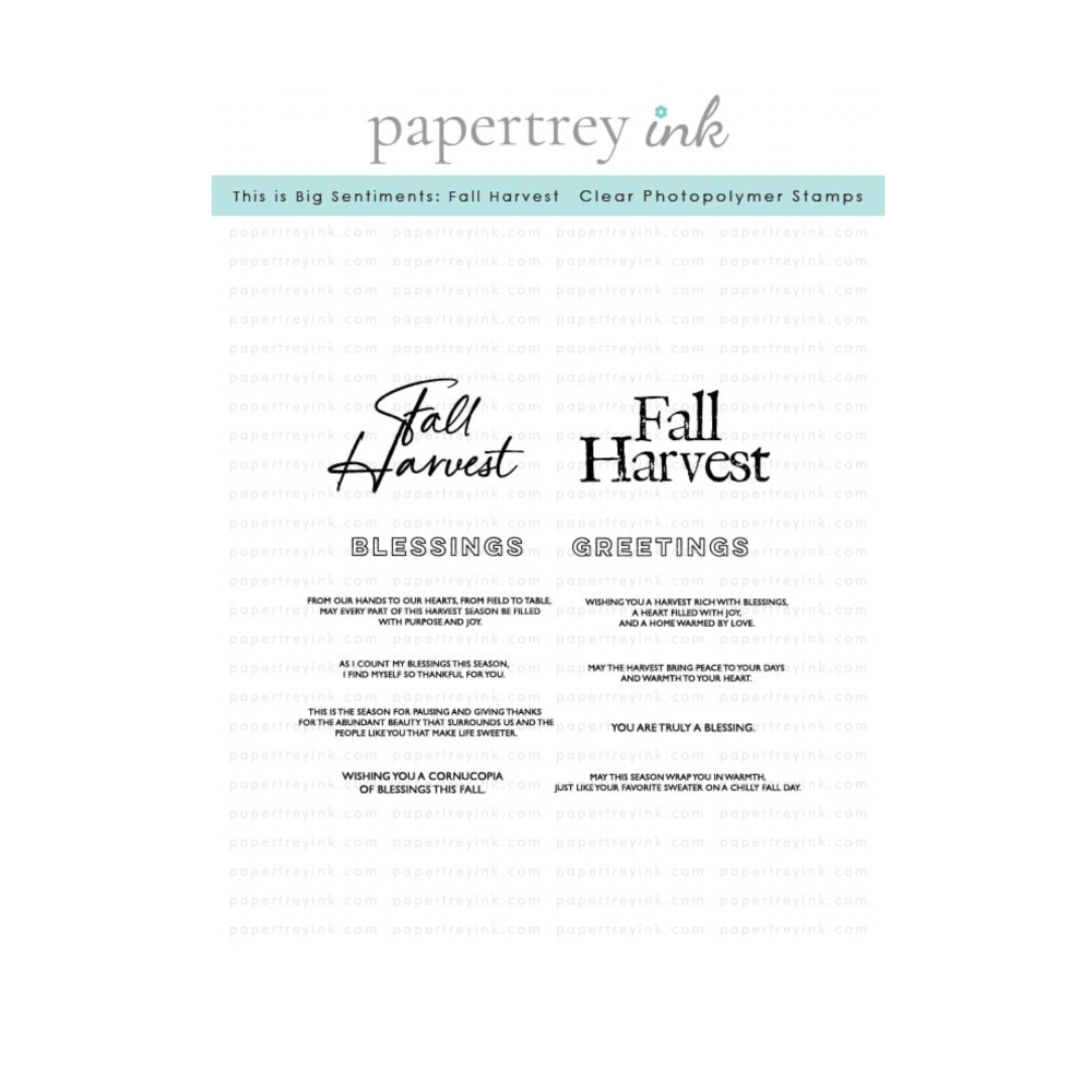 Papertrey Ink This is Big Sentiments Fall Harvest Clear Stamp and Die Set image 1