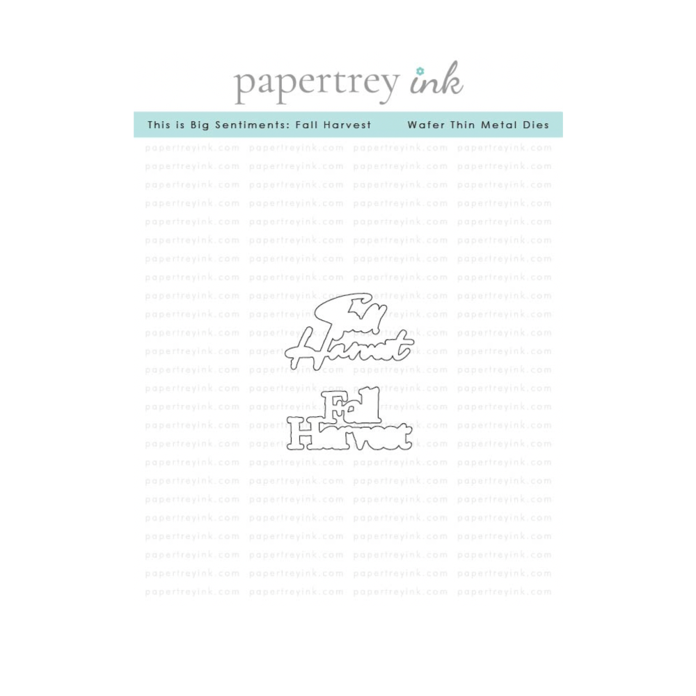 Papertrey Ink This is Big Sentiments Fall Harvest Clear Stamp and Die Set image 2