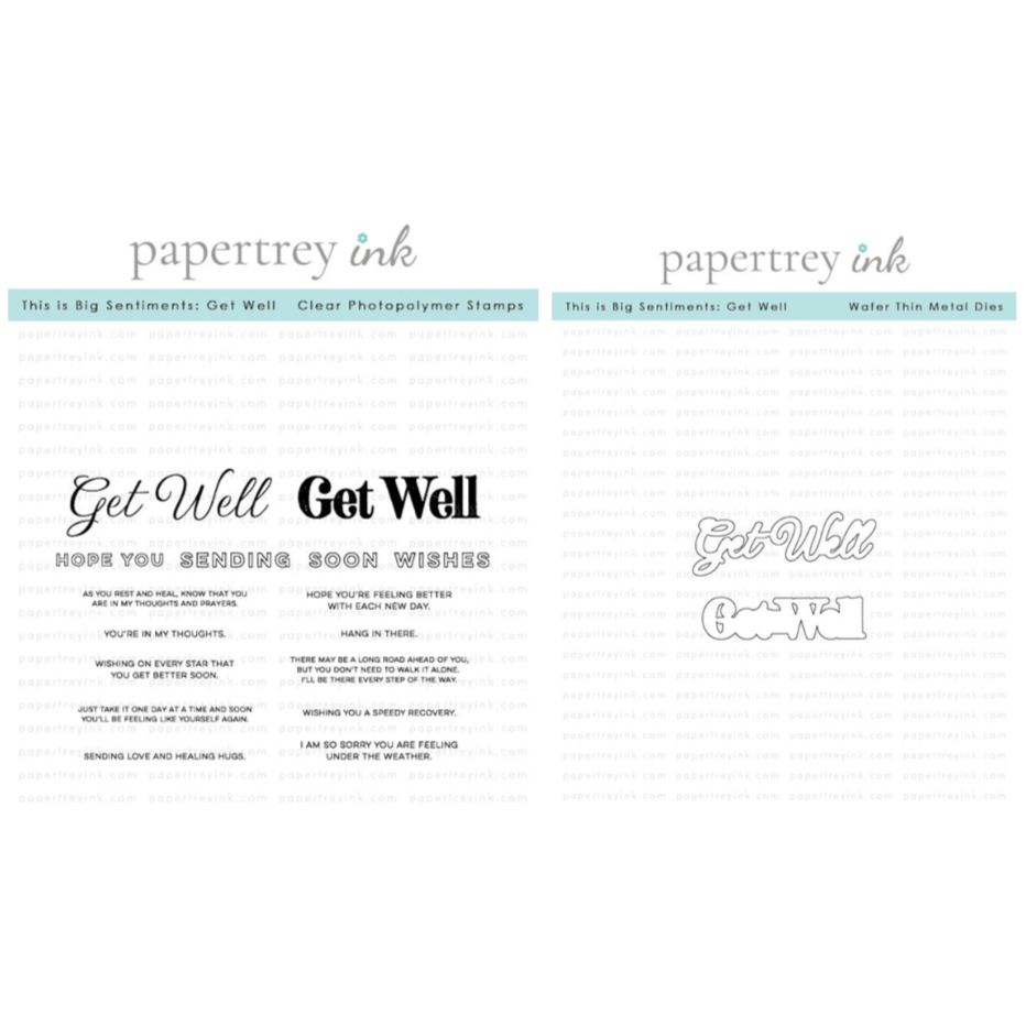 Papertrey Ink This is Big Sentiments Get Well Clear Stamp and Die Set