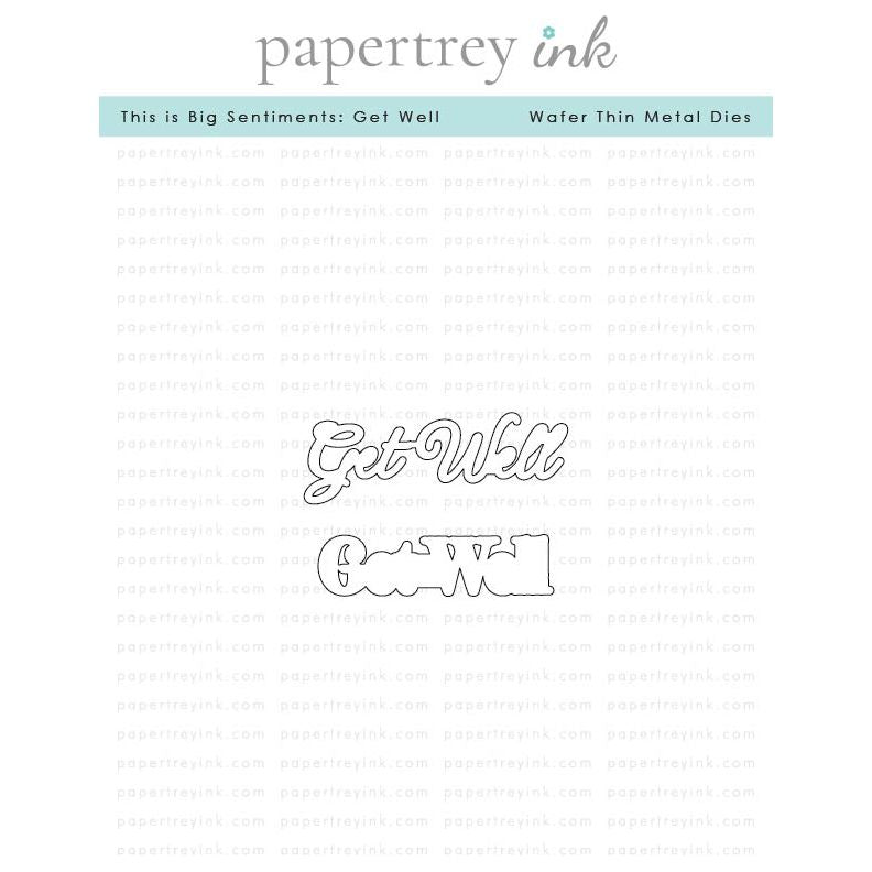 Papertrey Ink This is Big Sentiments Get Well Dies pti-0892