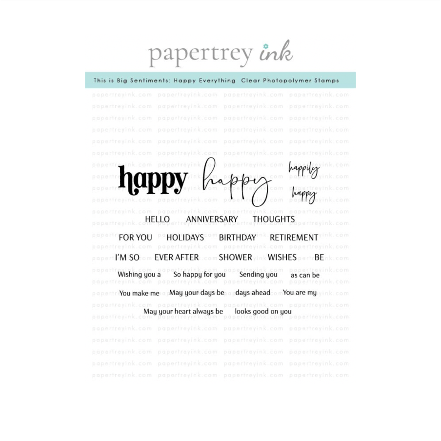Papertrey Ink This is Big Sentiments Happy Everything Clear Stamps 1690