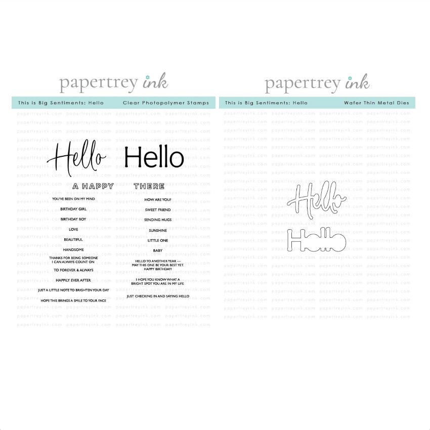 Papertrey Ink This is Big Sentiments Hello Clear Stamp and Die Set