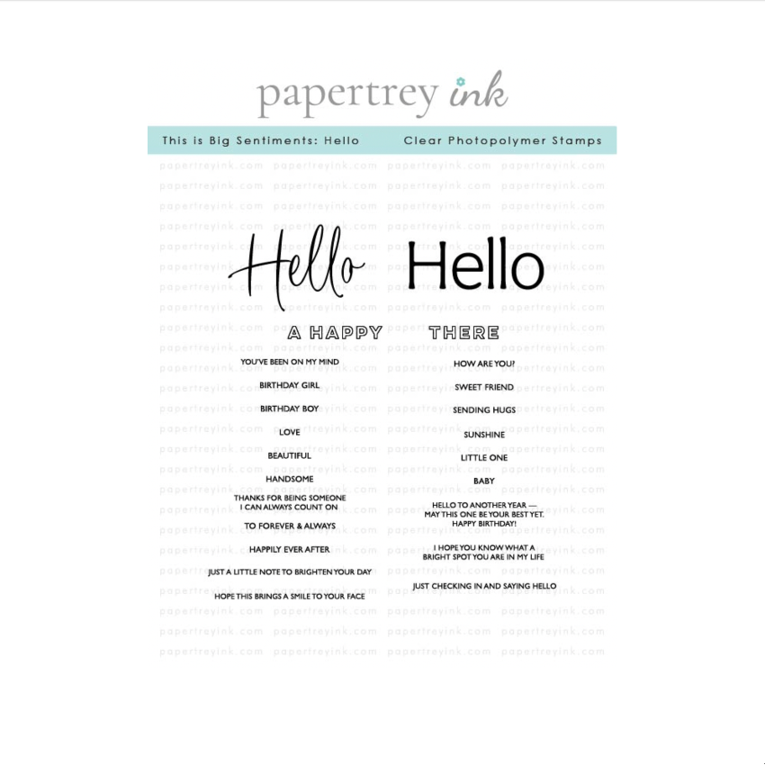 Papertrey Ink This is Big Sentiments Hello Clear Stamp and Die Set product image 1