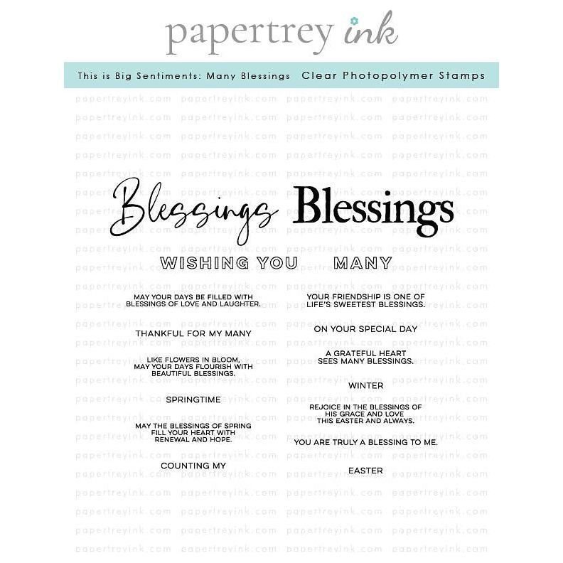 Papertrey Ink This is Big Sentiments Many Blessings Clear Stamps 1630