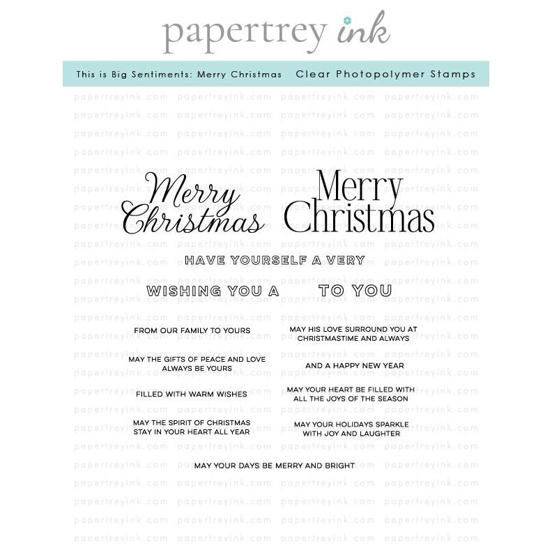 Papertrey Ink This is Big Sentiments Merry Christmas Clear Stamps 1609