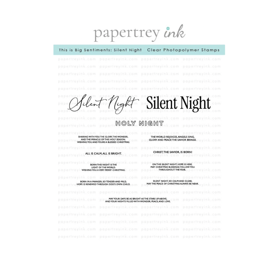 Papertrey Ink This is Big Sentiments Silent Night Clear Stamp and Die Set image 1