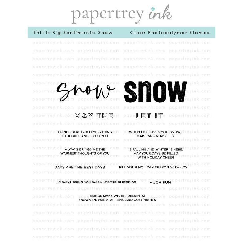 Papertrey Ink This is Big Sentiments Snow Clear Stamps 1615